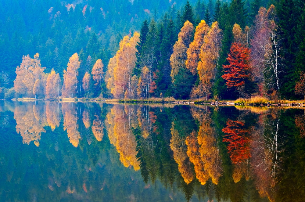 Colorful trees reflecting on a lake