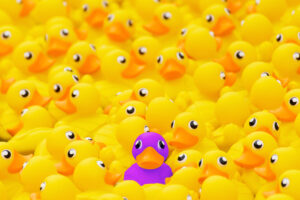 A different colored duckie standing out from the yellow rubber duckies